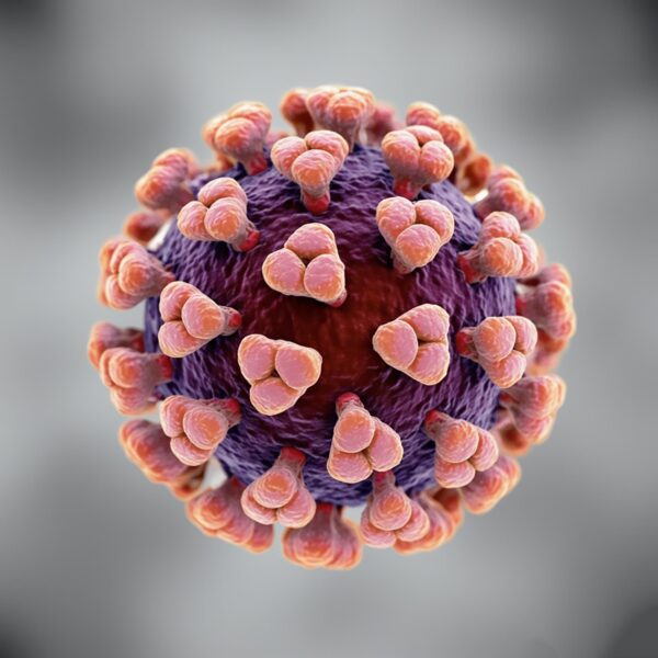 hbv